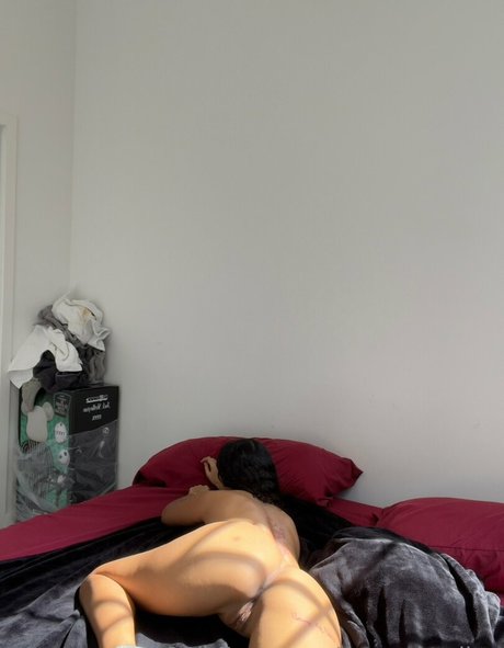 dominicanceline star art photos