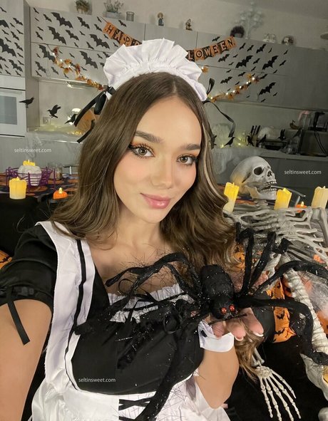 Seltin nice model gallery