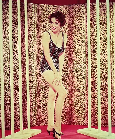 pregnant princess onlyfans art nude image