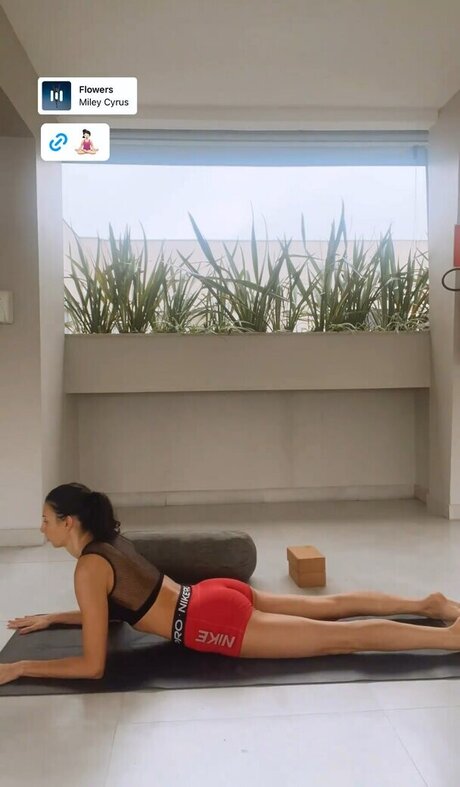 Sheilla Castro star pretty img