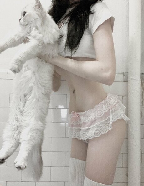 Sashad0ll high quality star archive