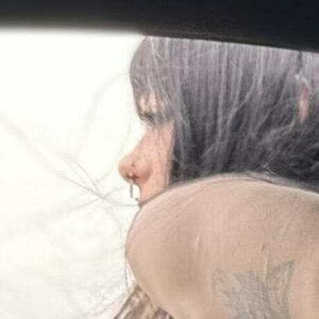 hondawhxre free pornstar archive