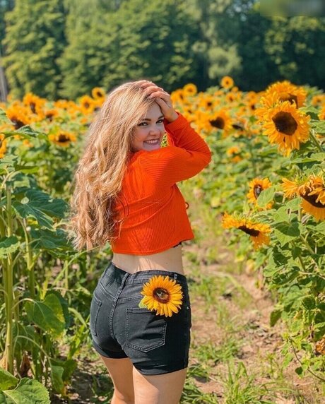 Mondwika star best archive