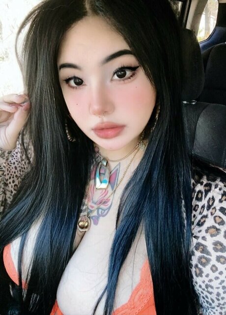 Sobaroll perfect model picture