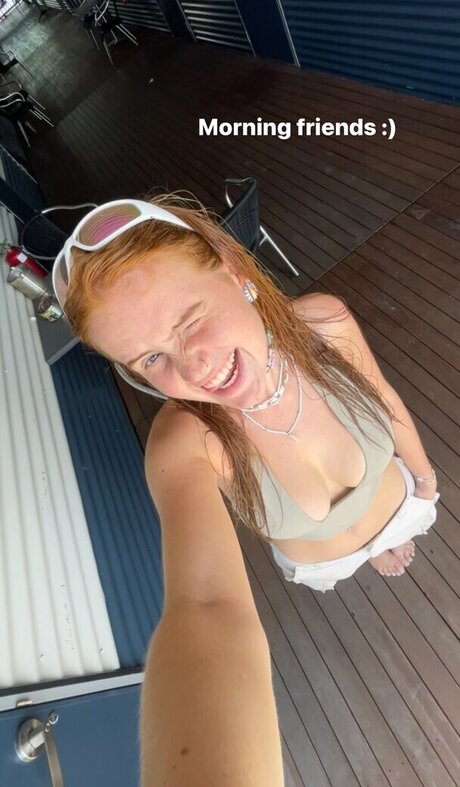 gringerliner model nice picture