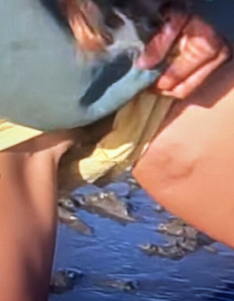 amateur homemade onlyfans porno photos