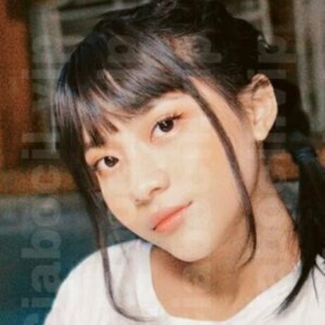 Ciabocil vip exclusive pornstar galleries