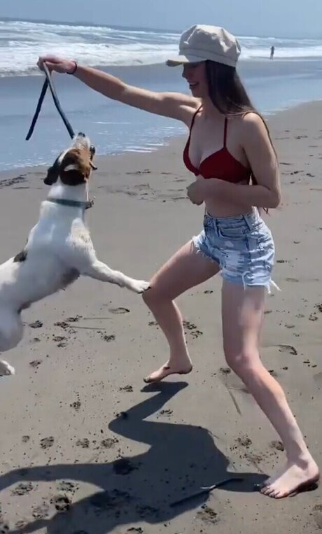 Affe auf Bike star perfect pic