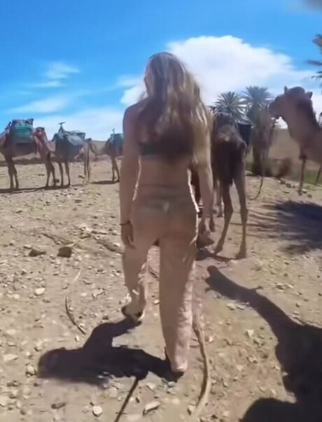 Affe auf Bike art star photos