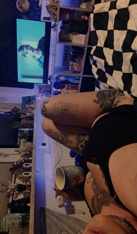 xlenaa official model hot archive