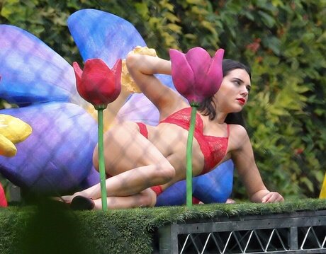 ebony teacher onlyfans adult pics