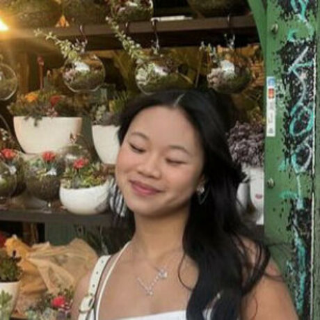 Sa nguyenn sexy pornstar pictures