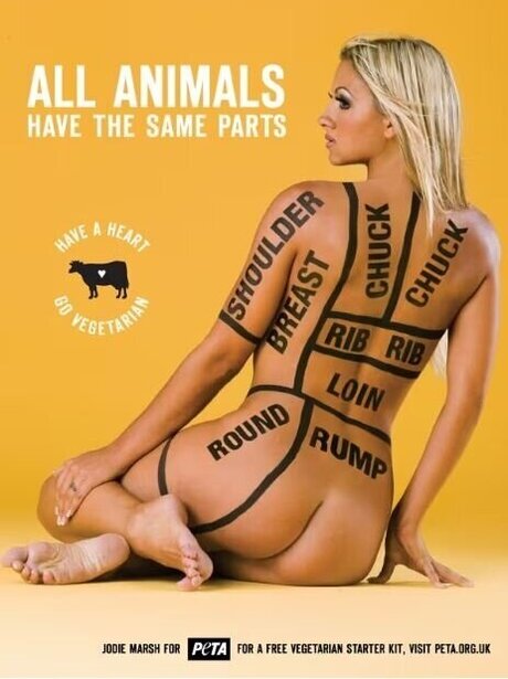 Werbungen best pornstar photos