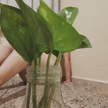 Huesos_ pornstar nude gallery