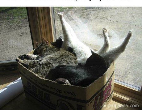 sweet kte star high quality picture