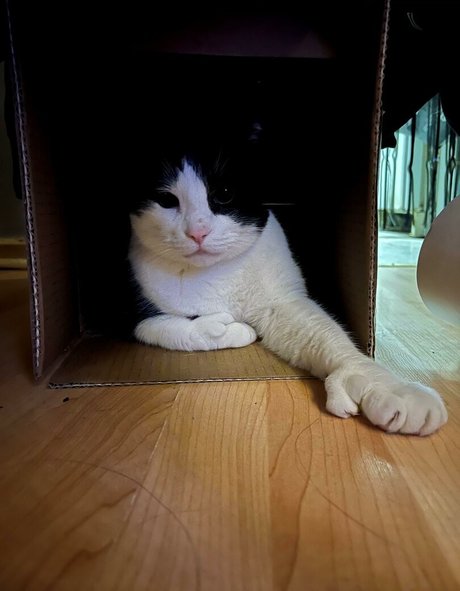 sweet kte hd actress gallery