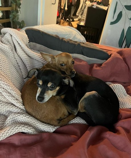 lesbian feet onlyfans free nude pictures