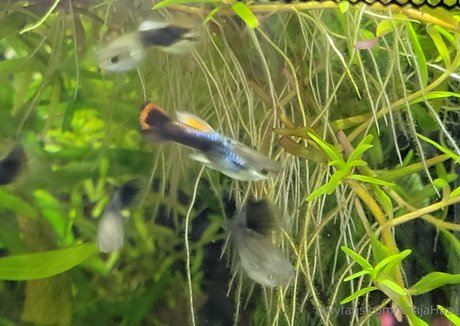 milf stockings onlyfans beautiful xxx gallery