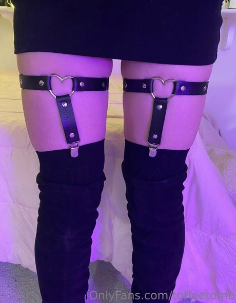 redwoodbay star beautiful photos