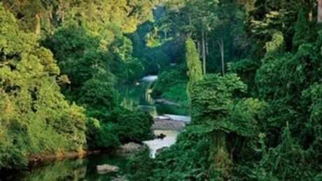 asmr feet onlyfans sexy archive