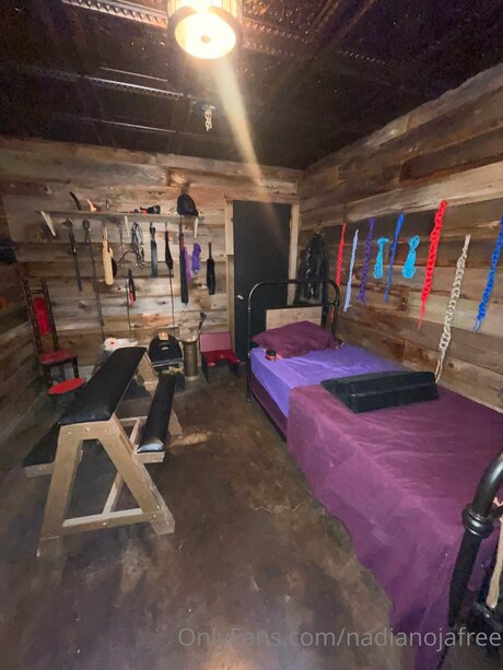 Nadia Noja hot star pic