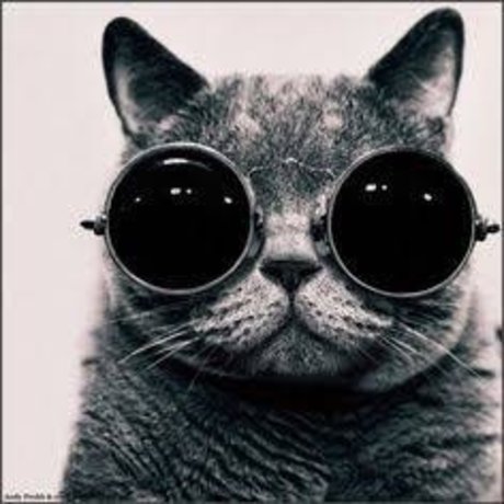 David Gadellha star pretty pictures