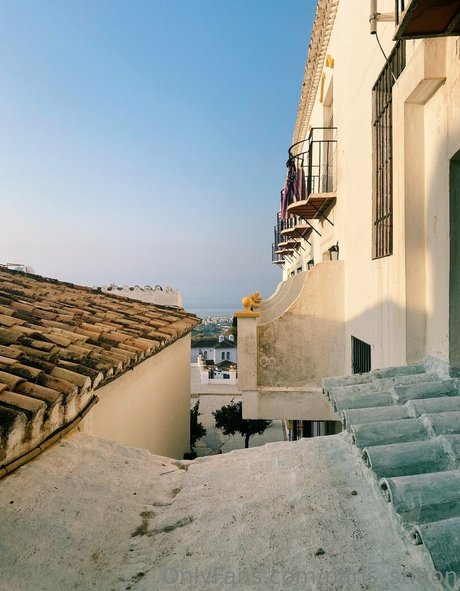 paris stilton pornographic star galleries