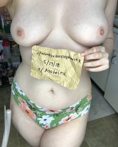 almostanelephantx hd star archive