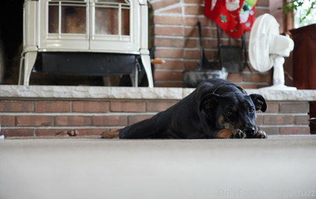 gutfuzz model erotic pic