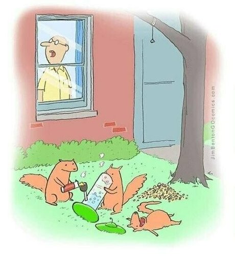 gutfuzz star beautiful pics