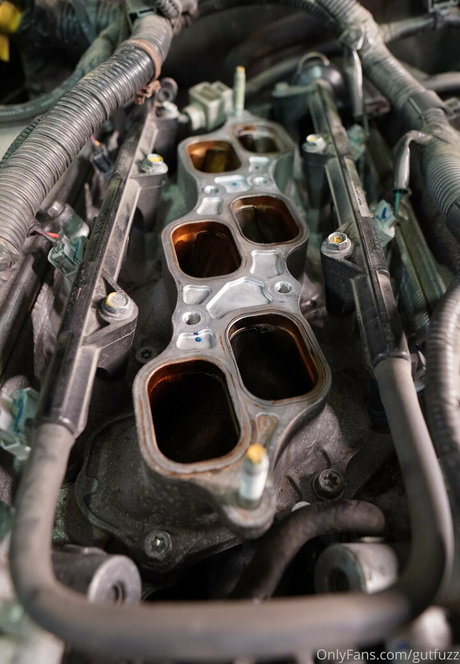 gutfuzz model beautiful photo