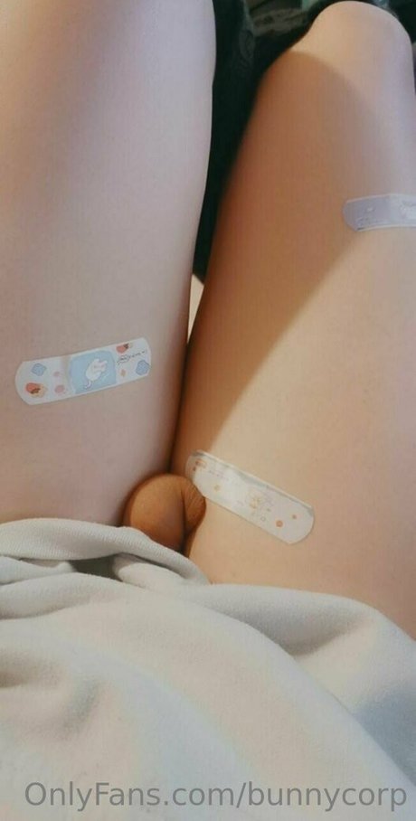 bunnycorp pornstar nude picture