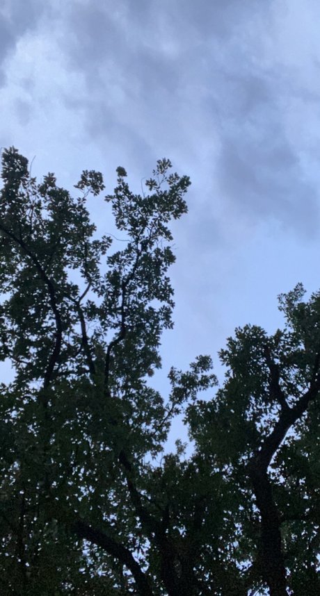 Nuuuuute model free picture