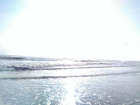 Nikkistevens 777 best star archive