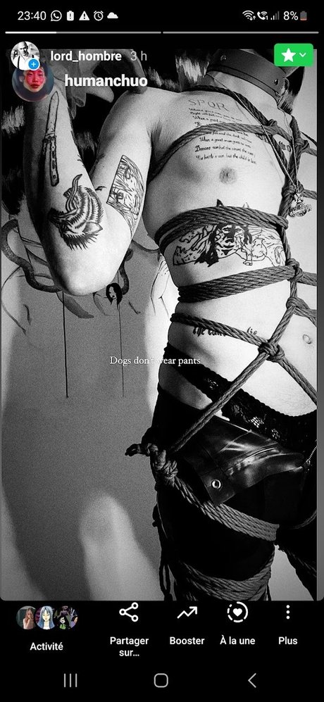 StraightToBottom pornstar perfect archive