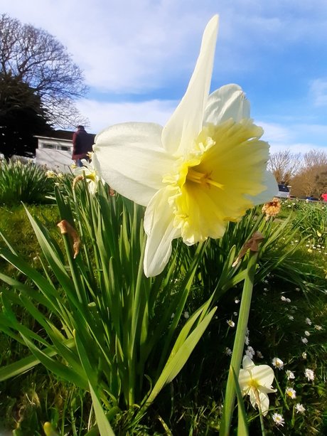 PaigeyBabyXXX perfect pornstar images