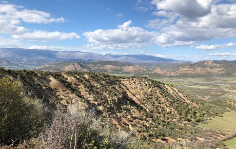 Outdoor Bull model high quality photo