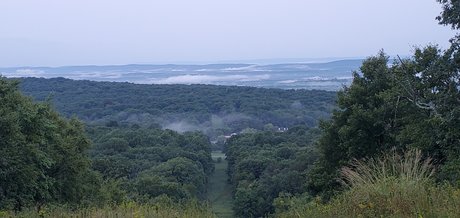 1EyeWally star xxx pics