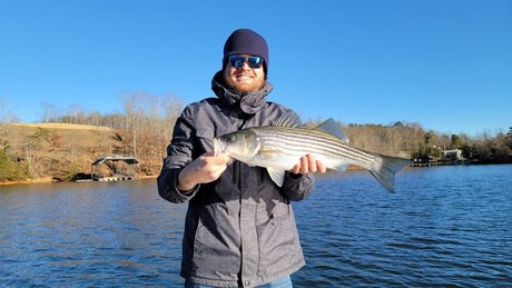 Pokinky sex star images