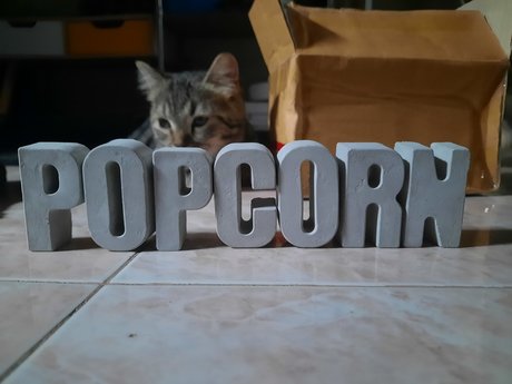 Popcorn_ sex model pic
