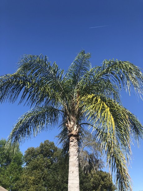 asian gangbang onlyfans best archive