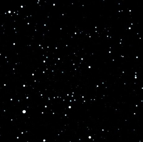 cute ladyboy onlyfans pornographic photos