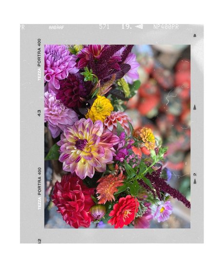 _Psychic Booty_ star best archive