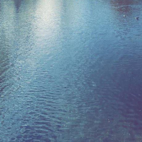 Greenie free actress picture