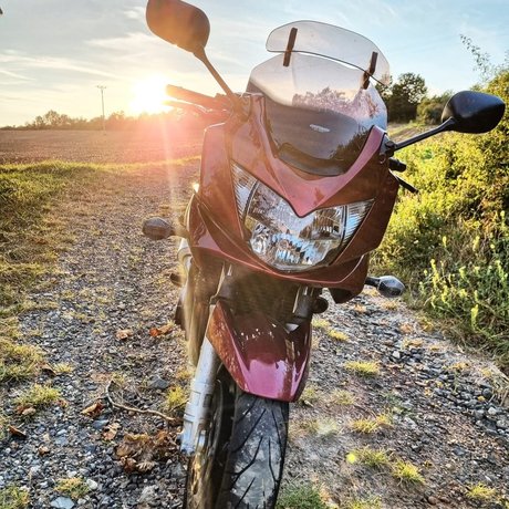 Rieslinger model high quality img