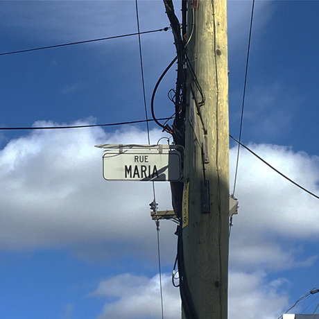 big cock onlyfans adult archive