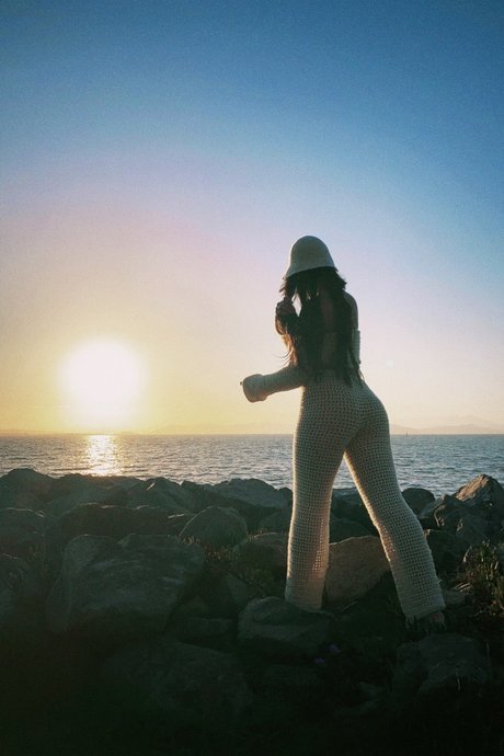 666 LUT model beautiful picture