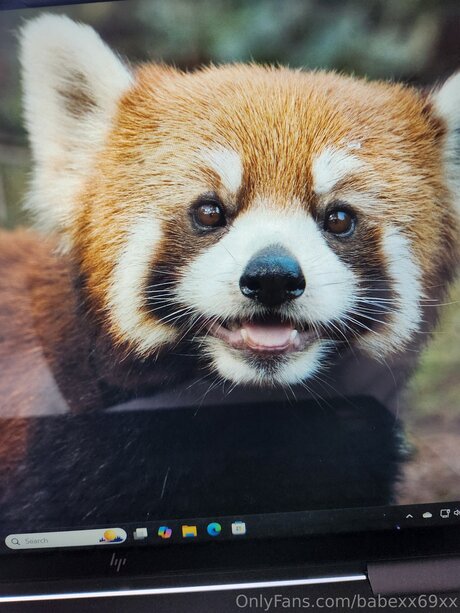 BabeXX69XX star exclusive picture