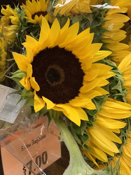 mature fake tits onlyfans adult images