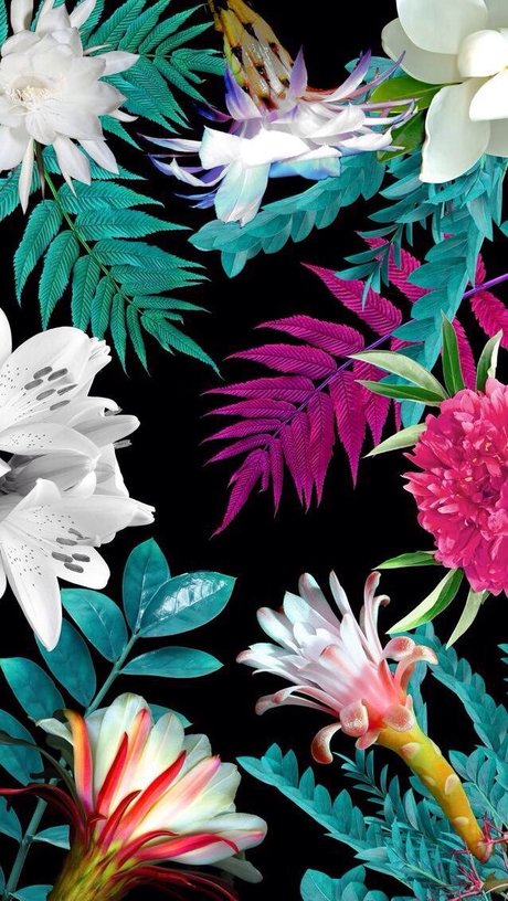 Mason Fleshwood star art gallery